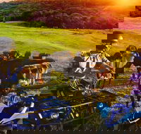 ATV Ride with Petting Zoo Experience in Kuranda from Cairns - Accommodation Port Hedland