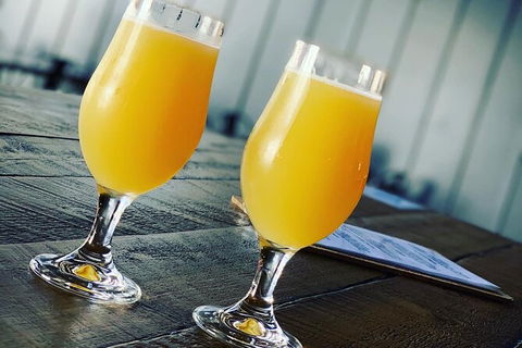 Gold Coast Suburb Sipper Brewery Tour - Accommodation Port Hedland 13