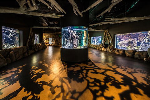 Cairns Aquarium By Twilight With 3 Course Dinner - Accommodation Port Hedland 7