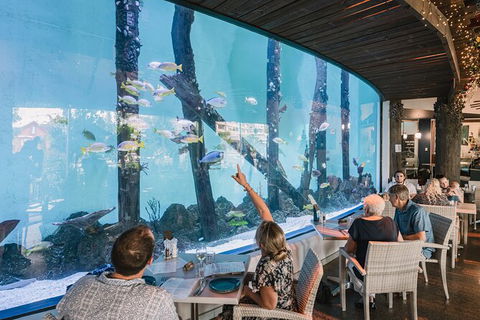 Cairns Aquarium By Twilight With 3 Course Dinner - Accommodation Port Hedland 1