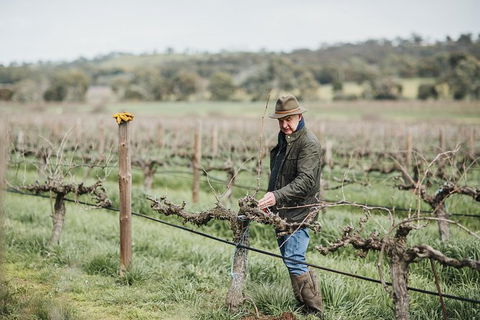 Armagh Vineyard Exclusive Wine Experience And Lunch - Accommodation Port Hedland 0