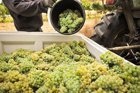 Adelaide Hills Wineries & Hahndorf - Accommodation Port Hedland 0