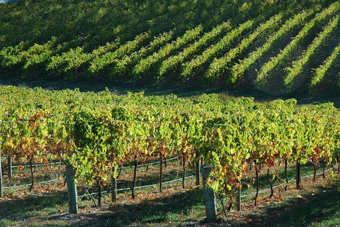 Adelaide Hills Wineries & Hahndorf - Accommodation Port Hedland 10
