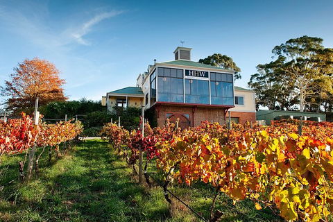 Adelaide Hills Food, Wine, Cheese, & Chocolate - Private Day Tour - Accommodation Port Hedland 7