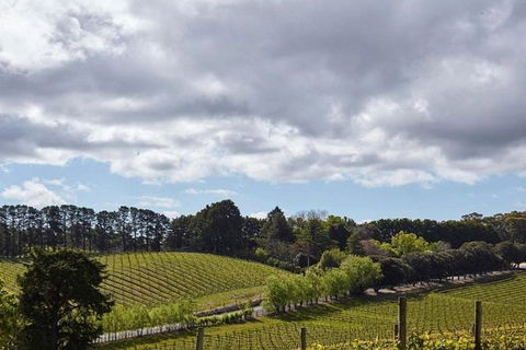 Adelaide Hills Full Day Winery Tour With Tastings - Accommodation Port Hedland 4