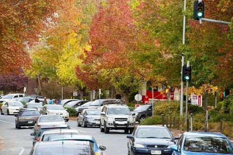 Adelaide Hills Full Day Winery Tour With Tastings - Accommodation Port Hedland 3