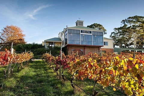 Adelaide Hills Full Day Winery Tour With Tastings - Accommodation Port Hedland 0