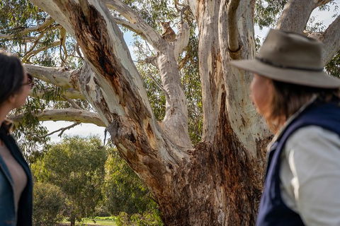 NEW TOUR - Kangaroo Island Road To Recovery Tour (1 Day/1 Night) - Accommodation Port Hedland 2