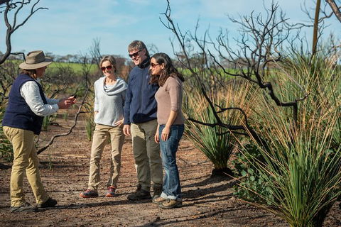 NEW TOUR - Kangaroo Island Road To Recovery Tour (1 Day/1 Night) - Accommodation Port Hedland 0