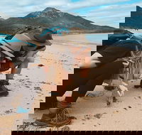 Freycinet Walking Tour - Accommodation Port Hedland