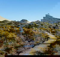 Hartz Mountains premium private photo-oriented day tour from Hobart - Accommodation Port Hedland