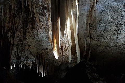 Shore Excursion: Coast, Caves And Wildlife Park - 8 Hour Tour - Accommodation Port Hedland 10