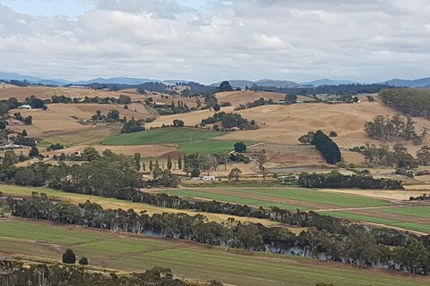 Shore Excursion: Coast, Caves And Wildlife Park - 8 Hour Tour - Accommodation Port Hedland 4