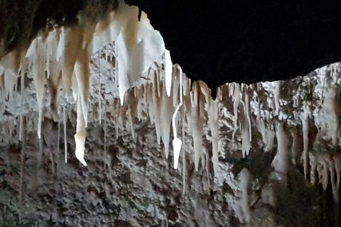 Shore Excursion: Coast, Caves And Wildlife Park - 8 Hour Tour - Accommodation Port Hedland 21