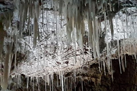 Shore Excursion: Coast, Caves And Wildlife Park - 8 Hour Tour - Accommodation Port Hedland 15