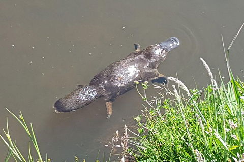 Shore Excursion: Coast, Caves And Wildlife Park - 8 Hour Tour - Accommodation Port Hedland 1