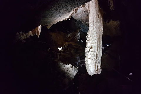 Shore Excursion: Coast, Caves And Wildlife Park - 8 Hour Tour - Accommodation Port Hedland 12