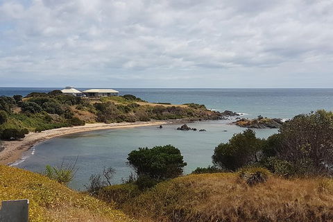 Shore Excursion: Coast, Caves And Wildlife Park - 8 Hour Tour - Accommodation Port Hedland 0