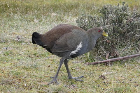 Shore Excursion: Coast, Caves And Wildlife Park - 8 Hour Tour - Accommodation Port Hedland 2