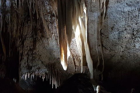 Shore Excursion: Coast, Caves And Wildlife Park - 8 Hour Tour - Accommodation Port Hedland 7