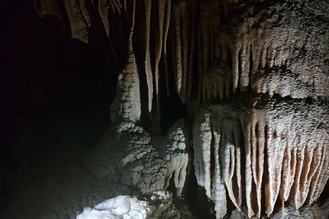 Shore Excursion: Coast, Caves And Wildlife Park - 8 Hour Tour - Accommodation Port Hedland 8