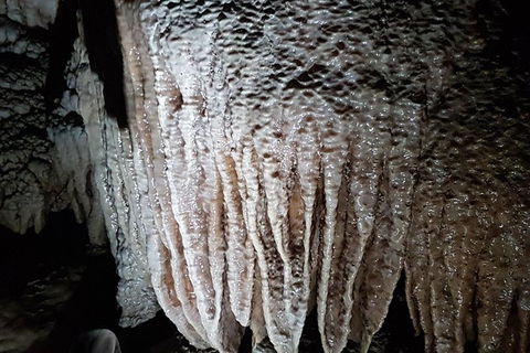 Shore Excursion: Coast, Caves And Wildlife Park - 8 Hour Tour - Accommodation Port Hedland 13