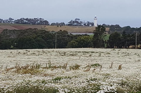 Cruise Ship Excursion: NW Tassie Coastal Explorer - Accommodation Port Hedland 14