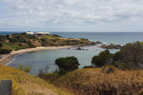 Cruise Ship Excursion: NW Tassie Coastal Explorer - Accommodation Port Hedland 13