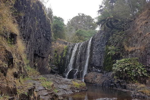 Cruise Ship Excursion: NW Tassie Coastal Explorer - Accommodation Port Hedland 16