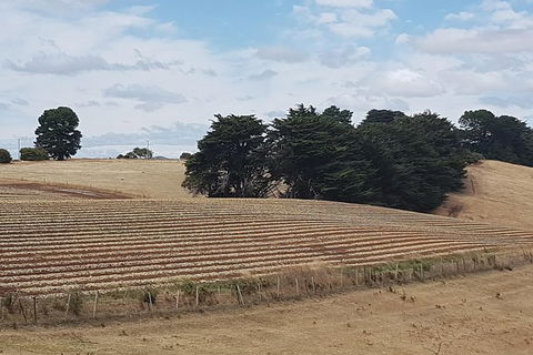 Cruise Ship Excursion: NW Tassie Coastal Explorer - Accommodation Port Hedland 9