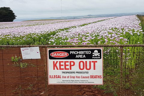 Cruise Ship Excursion: NW Tassie Coastal Explorer - Accommodation Port Hedland 10