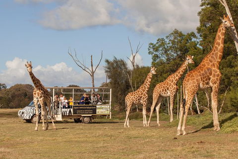 Off-Road Safari At Werribee Open Range Zoo - Accommodation Port Hedland 3