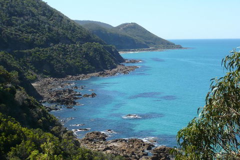 Overnight Great Ocean Road Tour From Melbourne - Accommodation Port Hedland 6