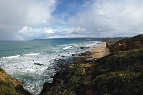 Overnight Great Ocean Road Tour From Melbourne - Accommodation Port Hedland 1