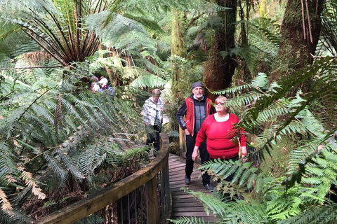 Overnight Great Ocean Road Tour From Melbourne - Accommodation Port Hedland 2