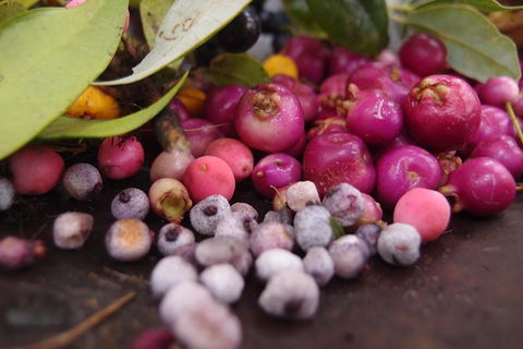 Out Back Bush Mans Cooking. - Accommodation Port Hedland 1