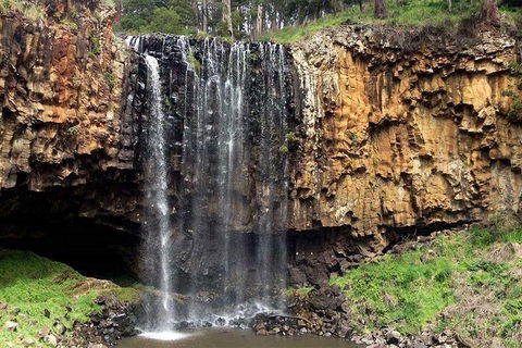 Out Back Bush Mans Cooking. - Accommodation Port Hedland 2