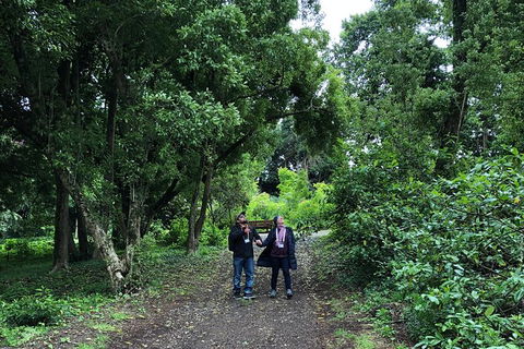 Alices Journeys Guided Walking Tours Of Daylesford - Accommodation Port Hedland 5