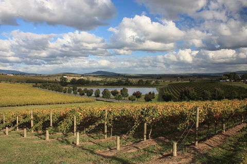 LGBT+ Friendly Full Day Yarra Valley & Dandenong Ranges Private Tour - Accommodation Port Hedland 0