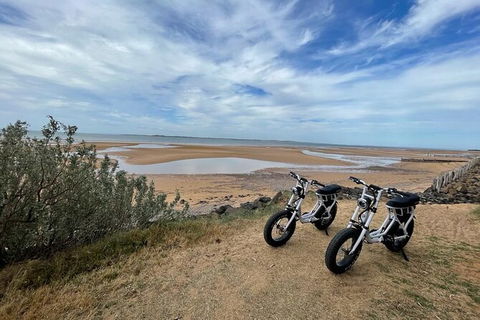 E-Bike Hire Super Cruzer In Phillip Island - Accommodation Port Hedland 3