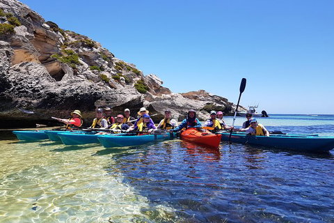 Rottnest Glass Bottom Kayaking Tour - Accommodation Port Hedland 0