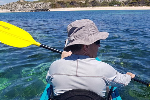 Rottnest Glass Bottom Kayaking Tour - Accommodation Port Hedland 1