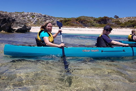 Rottnest Glass Bottom Kayaking Tour - Accommodation Port Hedland 2