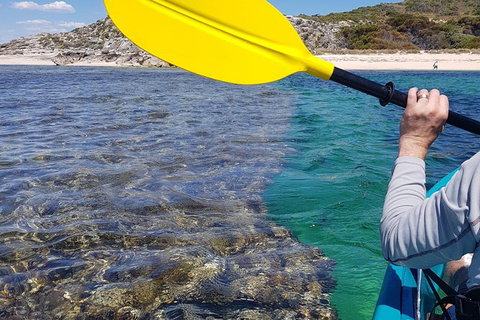 Rottnest Glass Bottom Kayaking Tour - Accommodation Port Hedland 3