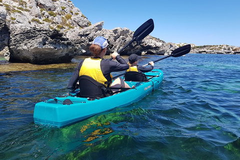 Rottnest Glass Bottom Kayaking Tour - Accommodation Port Hedland 4