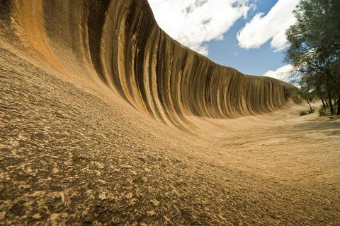 Wave Rock, York, Wildflowers, And Aboriginal Cultural Day Tour From Perth - Accommodation Port Hedland 5