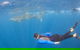 Whale Shark Safari - thumb 4