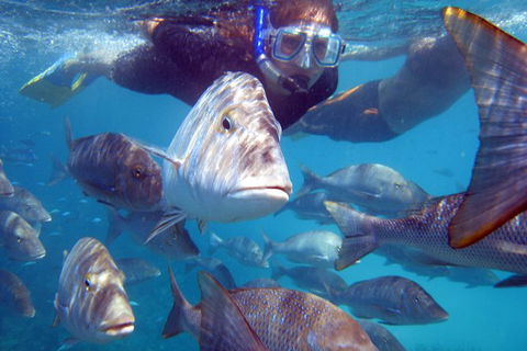 Coral Bay 2-Hour Coral Viewing And Snorkeling - Accommodation Port Hedland 0