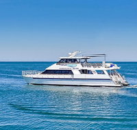 Rottnest Island Dive  Snorkel Day Trips - Accommodation Port Hedland