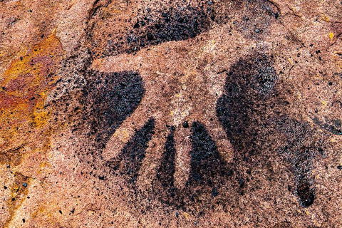 Wandjina Explorer - Incredible Kimberley Coast Tour - Accommodation Port Hedland 8